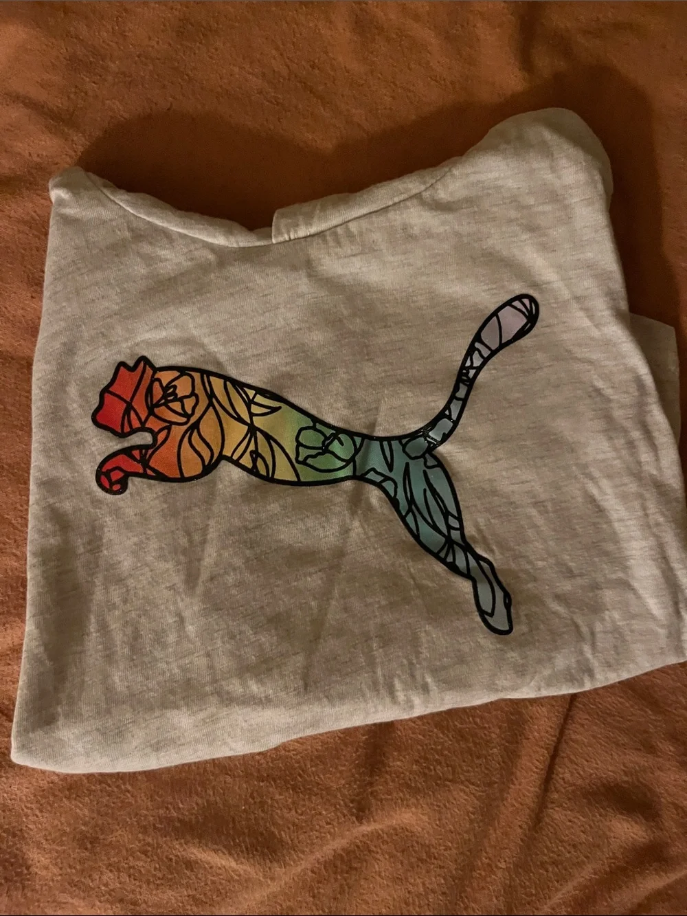 Puma Beige Hoodie with Multicolor Rainbow Cat Logo